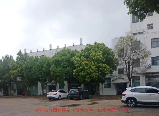 種子創(chuàng)意坊圖片2.jpg